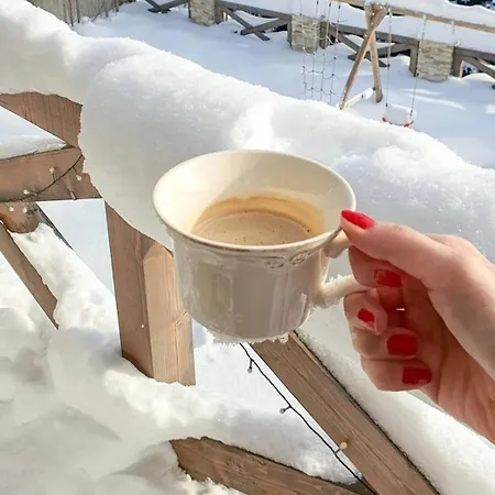 Alojamento de Turismo Selvagem Rebeca 12 Beds Donovaly